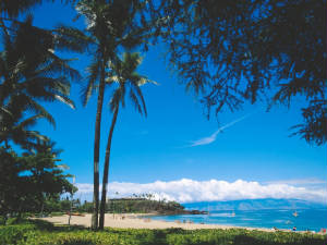 Hawaii1.jpg
